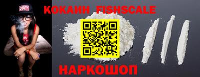 a pvp Краснознаменск