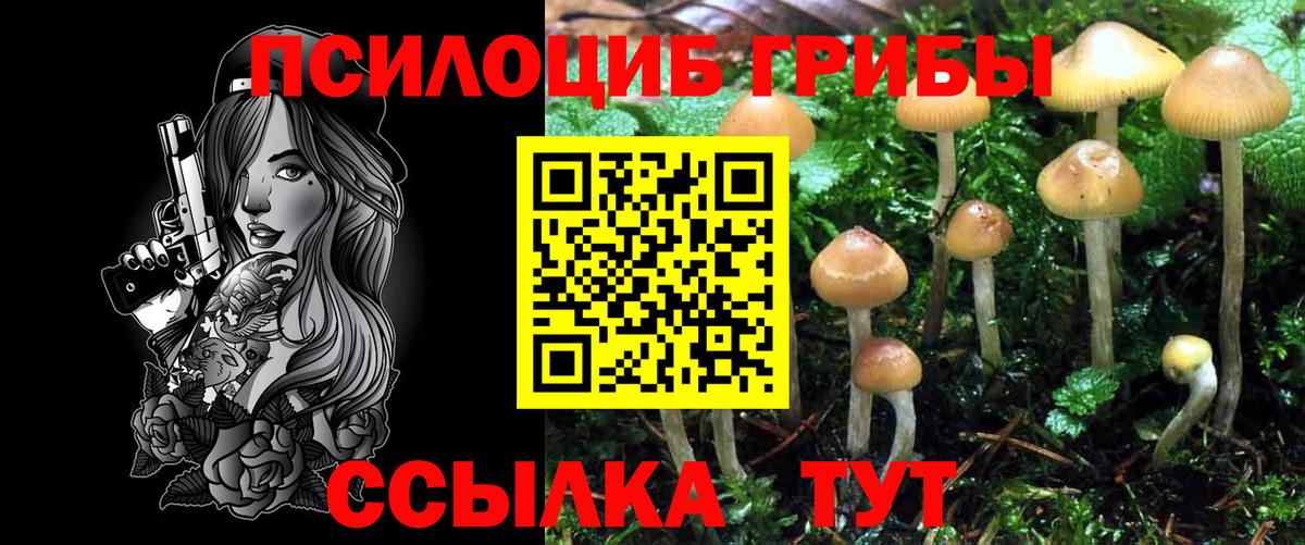 Псилоцибиновые грибы Cubensis Ирбит