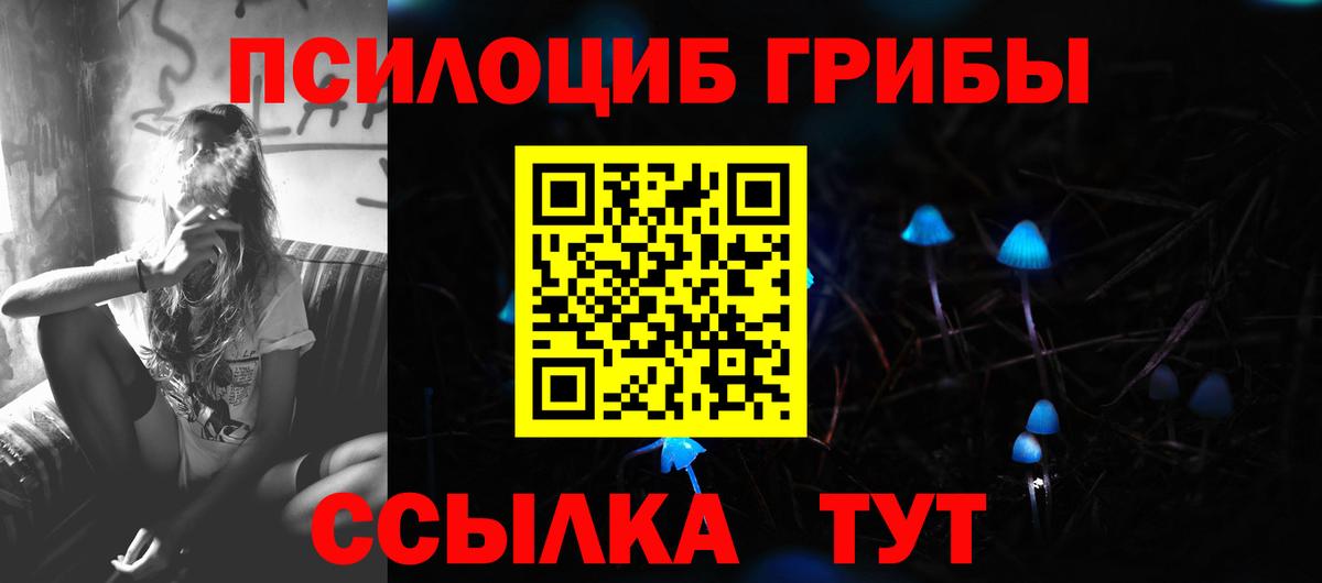 Ирбит  Галлюциногенные грибы Psilocybe  Вход с VPN 